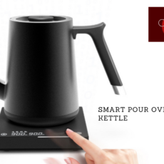 Fish Pour Over Electric Kettle